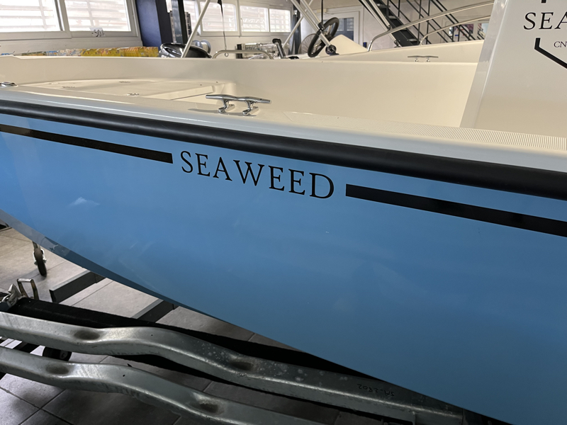 SEAWEED - 535 CONSOLE - 11