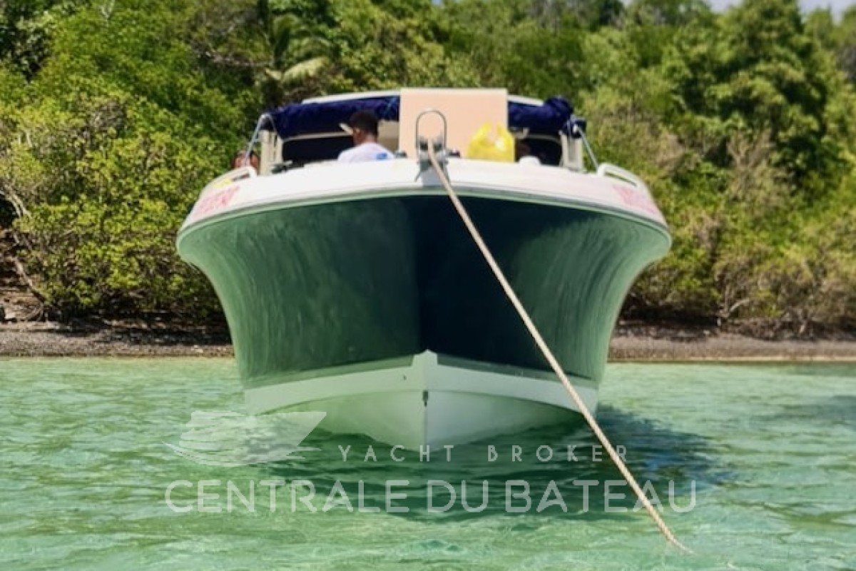 WELLCRAFT - SCARAB 35 SPORT - thumbnail 2