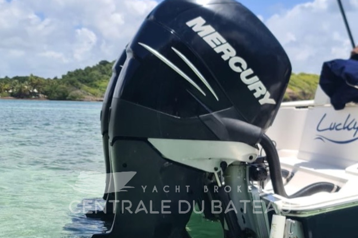 WELLCRAFT - SCARAB 35 SPORT - thumbnail 15