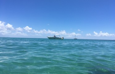 BATEAU A MOTEUR OU VOILIER : QUEL CHOIX POUR EXPLORER LA MARTINIQUE ?