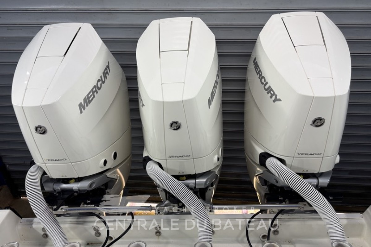 EVERGLADES - 350 CC - thumbnail 20