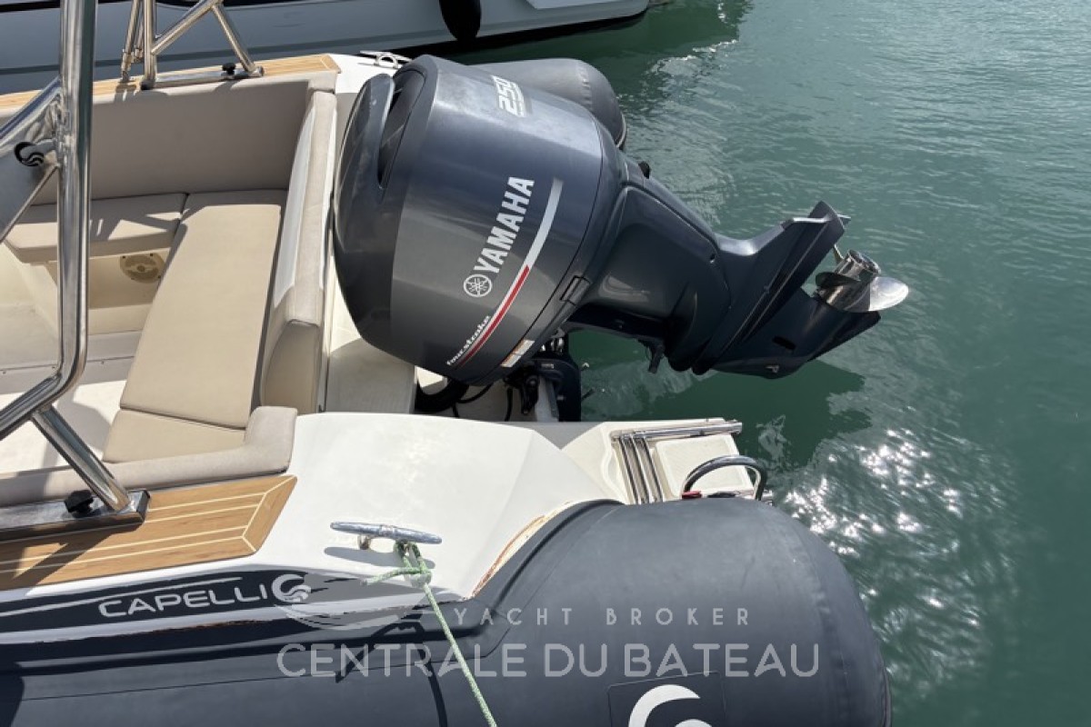 CAPELLI - TEMPEST 775 - thumbnail 11