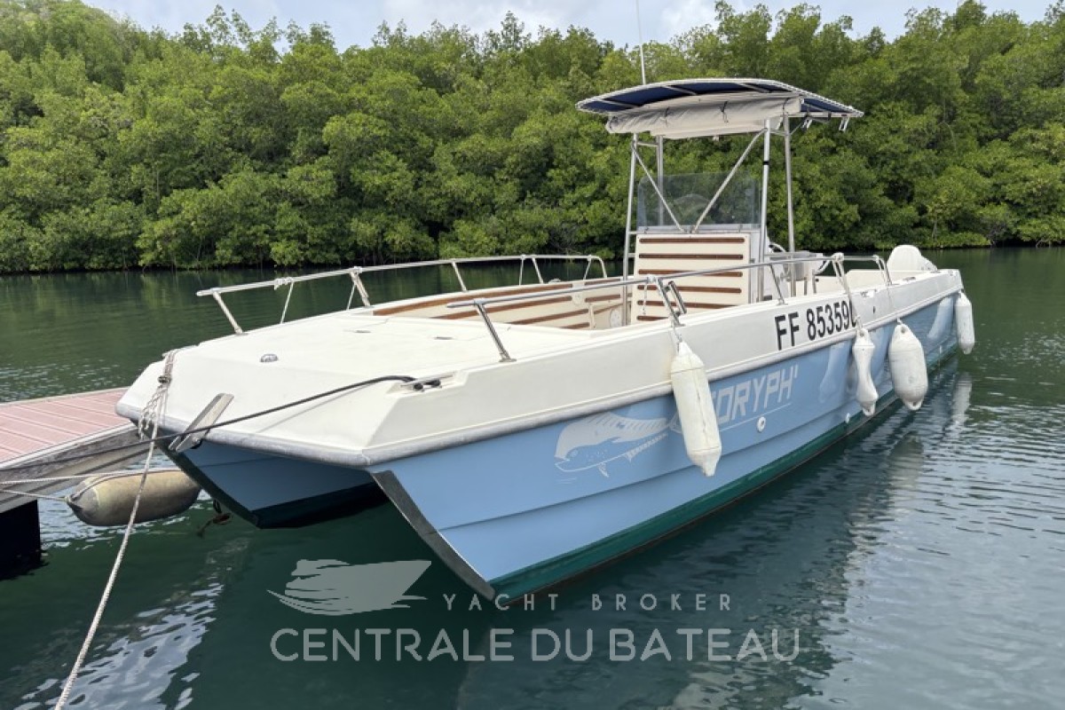 Catamaran d'occasion à vendre en Martinique - Sea Cat 2550 - Centrale du Bateau