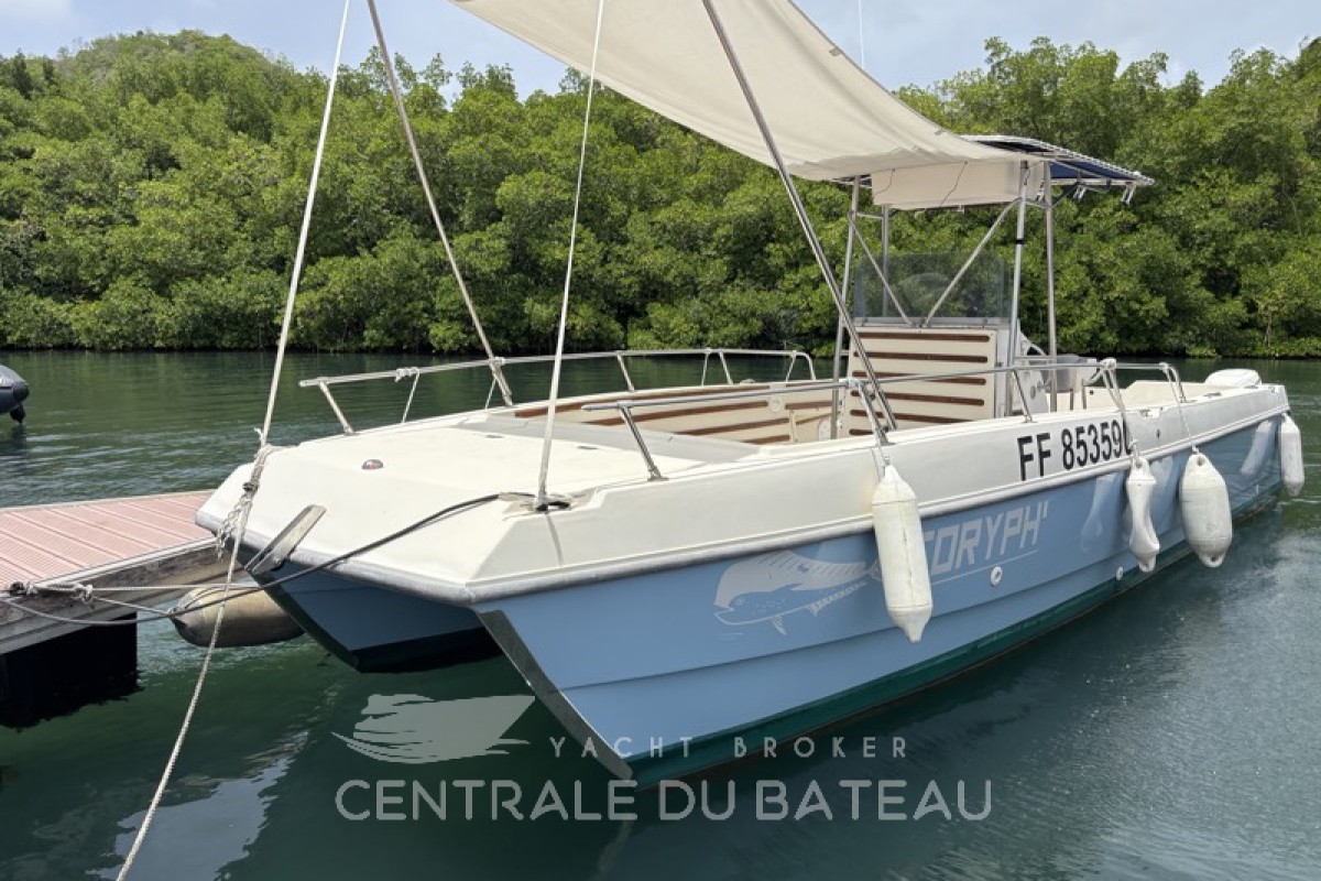 SEA CAT - 2550 - thumbnail 5
