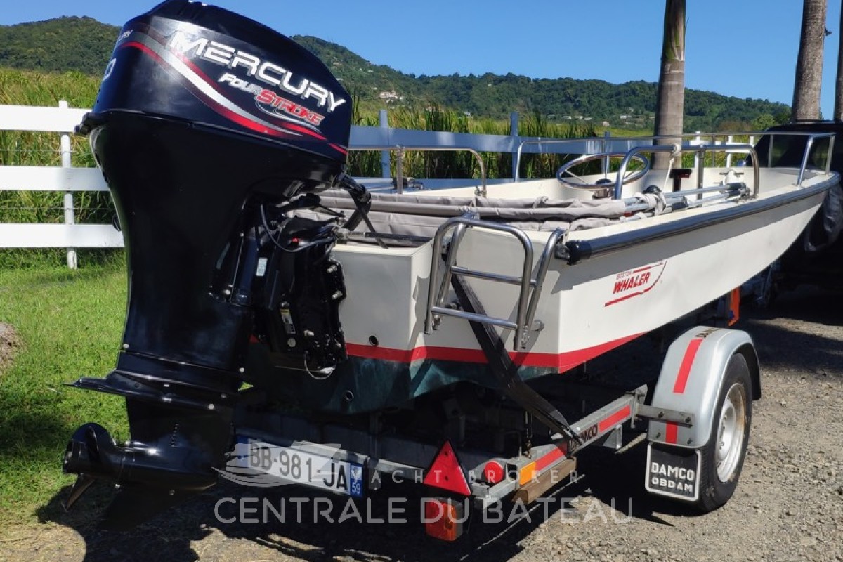 Vue arrière et moteur Mercury - Boston Whaler 15 - Centrale du Bateau