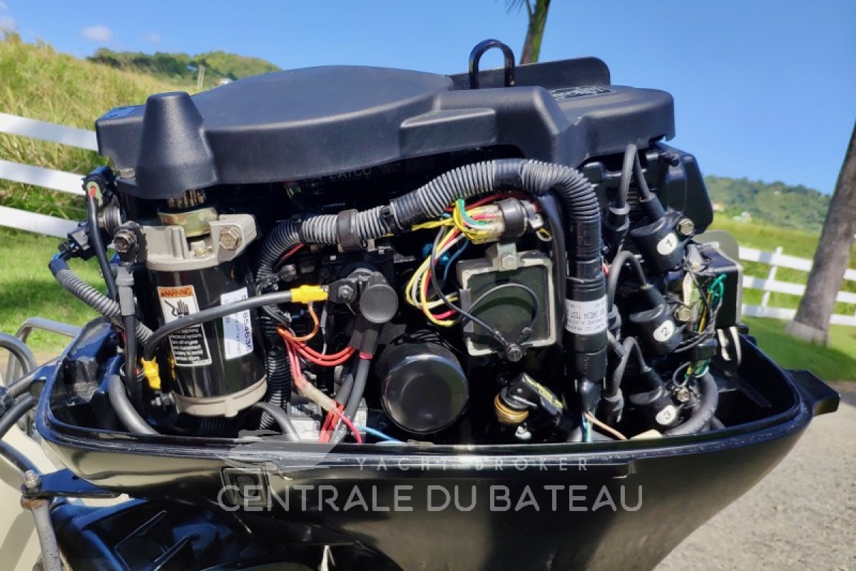 Moteur Boston Whaler 15 - Centrale du Bateau