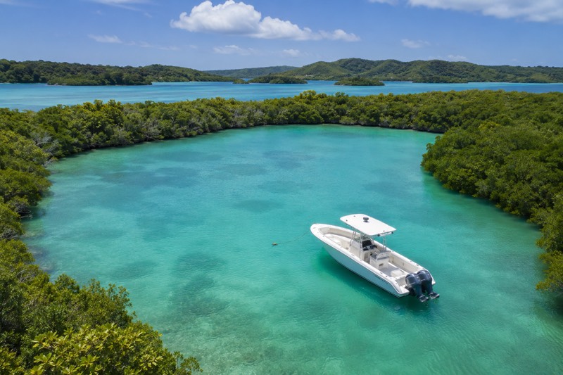 bateau à moteur mis a sec pour la saison cyclonique en Martinique