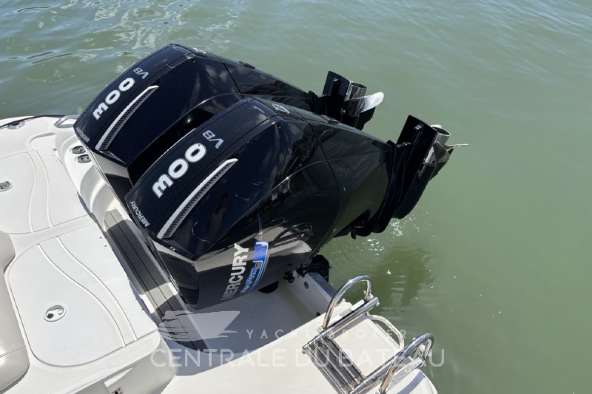 Moteurs 300cv V8 Mercury sur Scarab 32 en Martinique