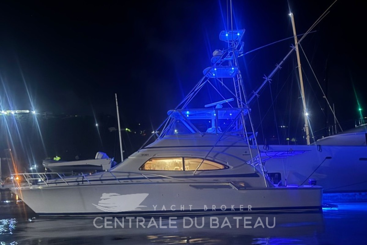 BERTRAM - 510 - thumbnail 2